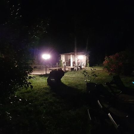 Villa Eden Vert Fayence Dış mekan fotoğraf