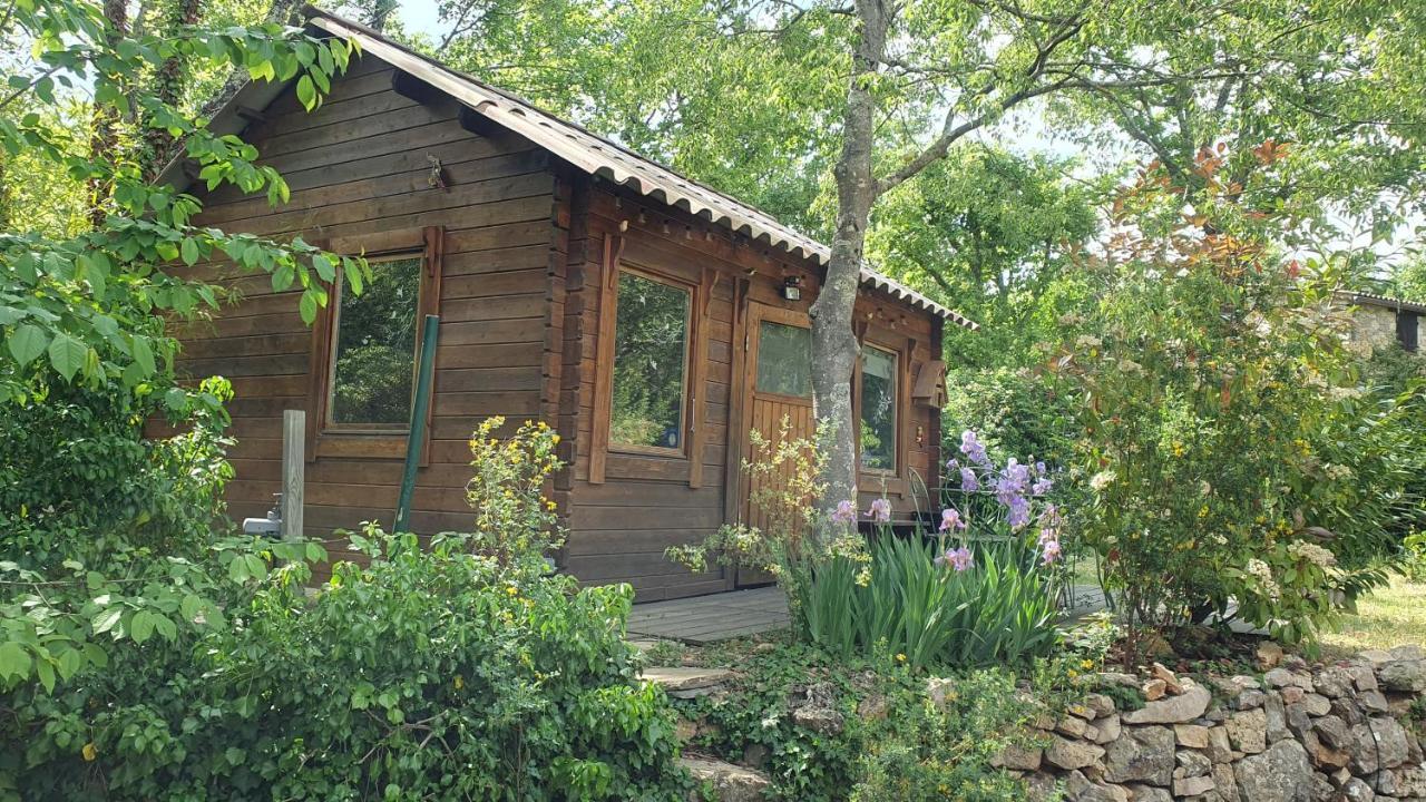 Villa Eden Vert Fayence Dış mekan fotoğraf