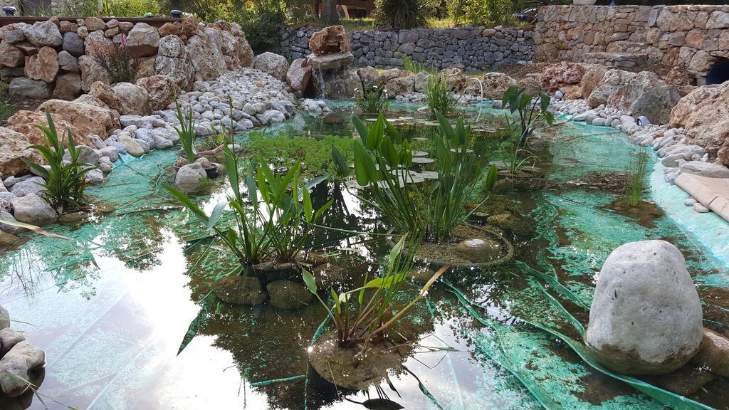 Villa Eden Vert Fayence Dış mekan fotoğraf