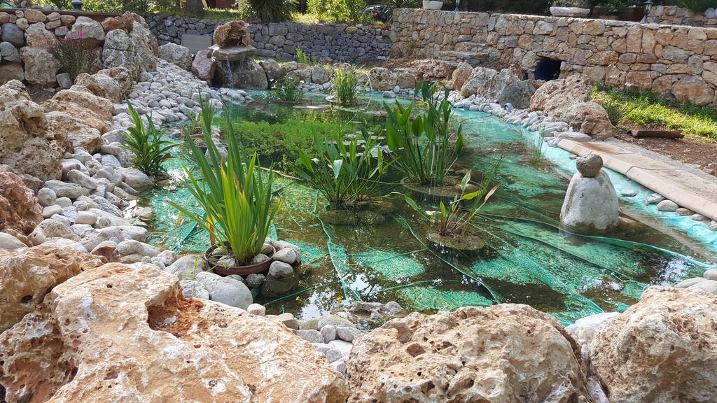 Villa Eden Vert Fayence Dış mekan fotoğraf
